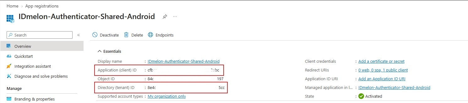 Application (client) ID and Directory (tenant) ID on the app registration Overview page