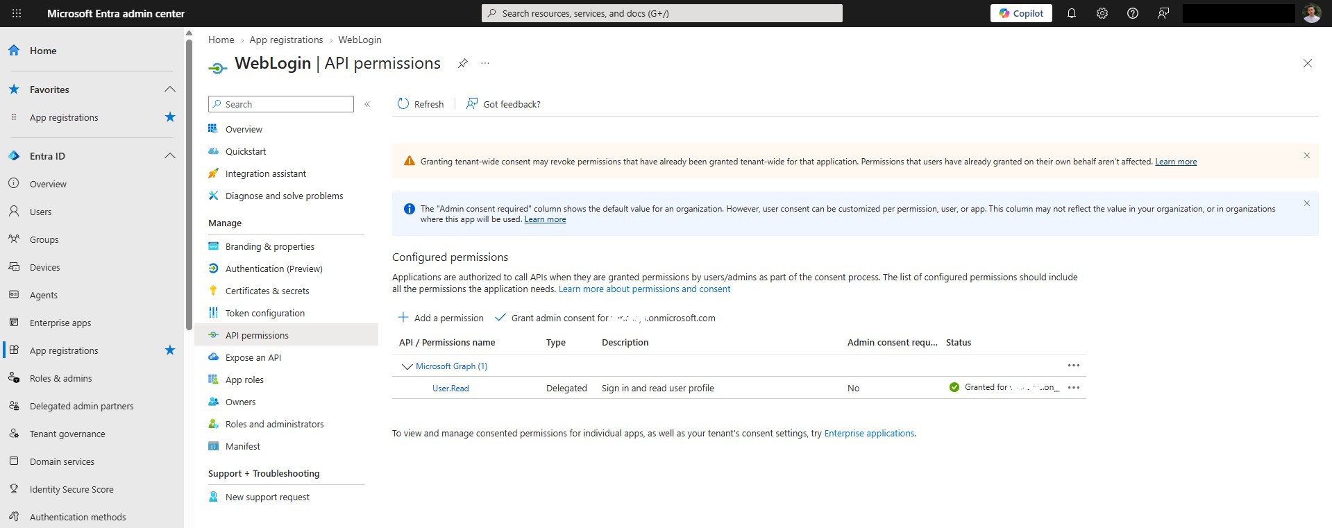 User.Read granted for the tenant in API permissions
